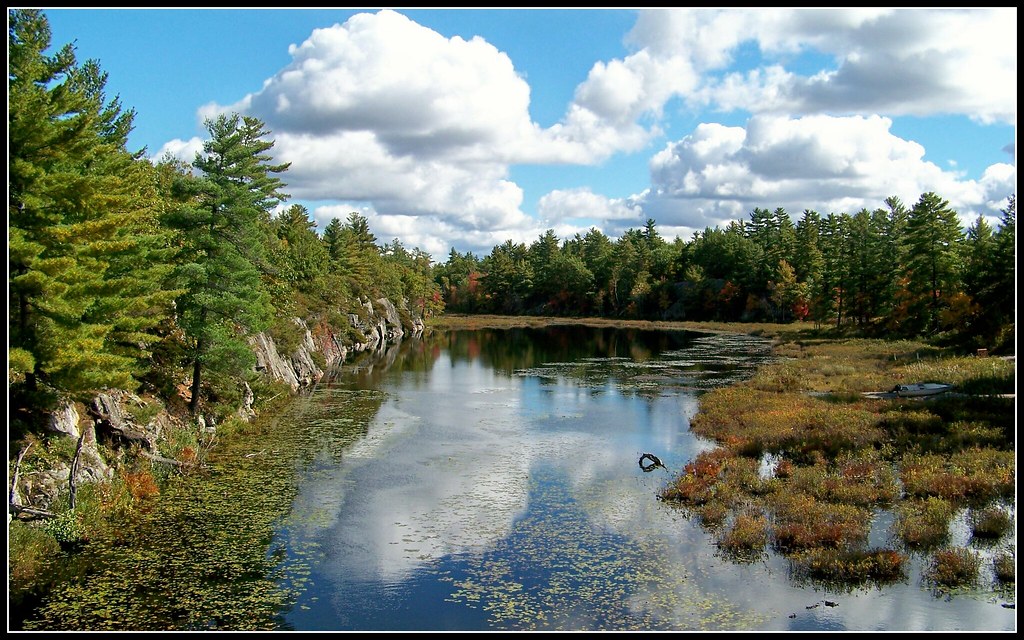 River Near Kaladar, Ontario. Will Flickr