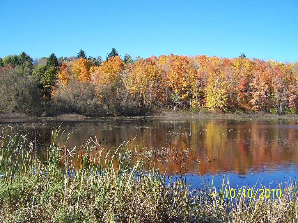 Mariaville Lake on a beautiful fall day Rebecca Smith Flickr