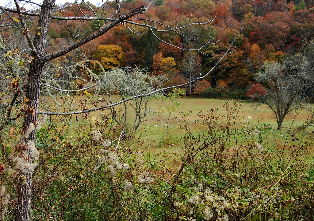 October in Pleasant Valley Gaddistown, Union County, Geo… Flickr