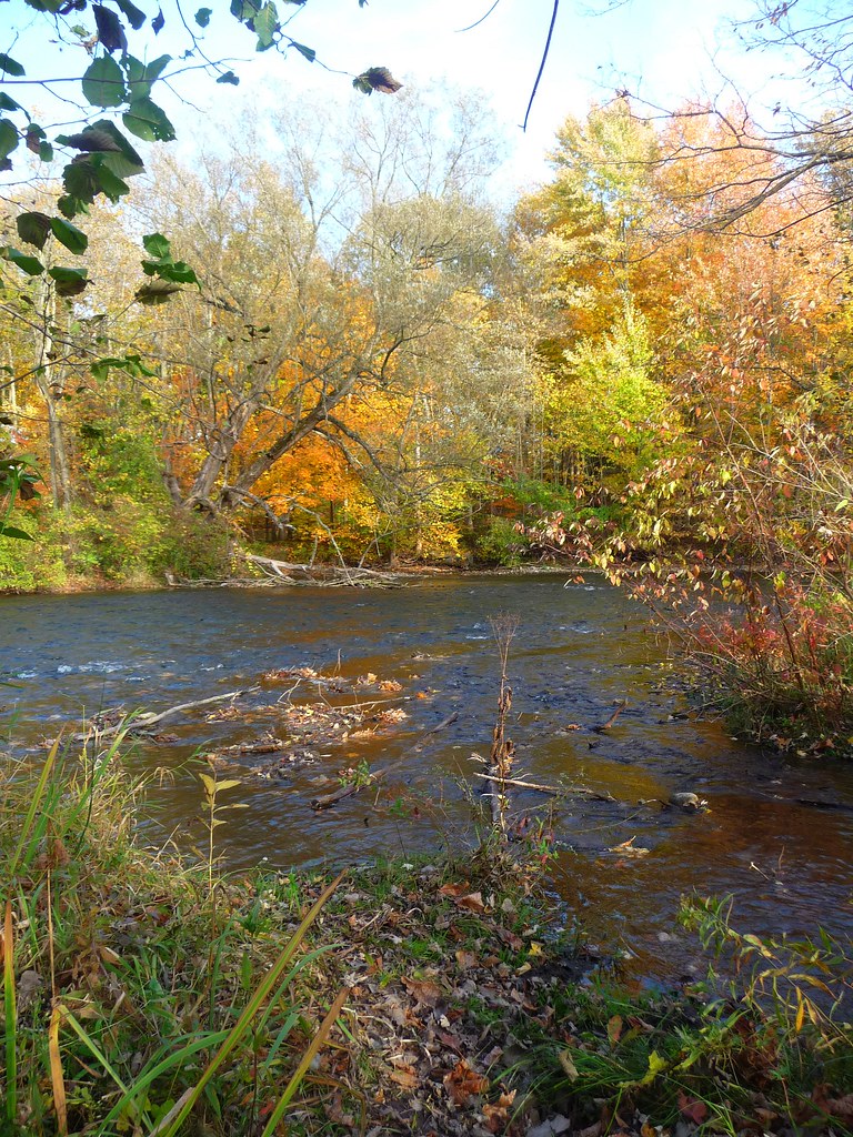 Autumn in Michigan The Rogue river in Belmont, Michigan. creed_400 Flickr