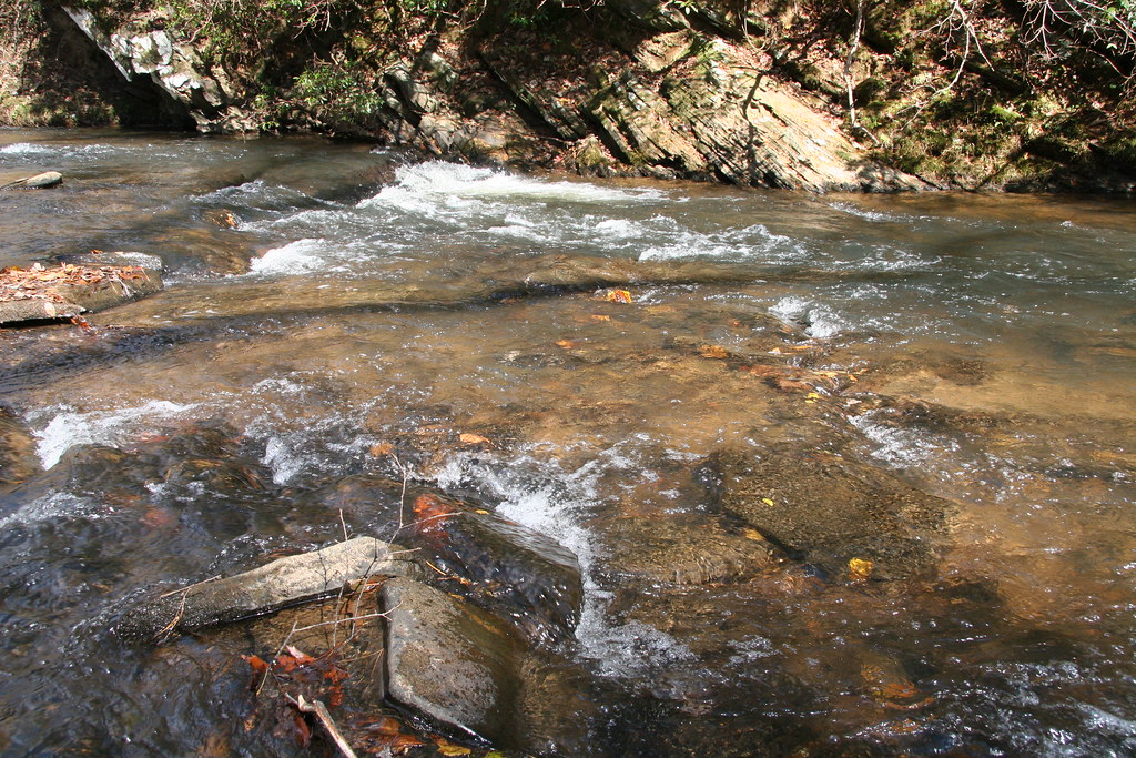 Shoal Creek shoals These shallowwater shoals are importan… Flickr