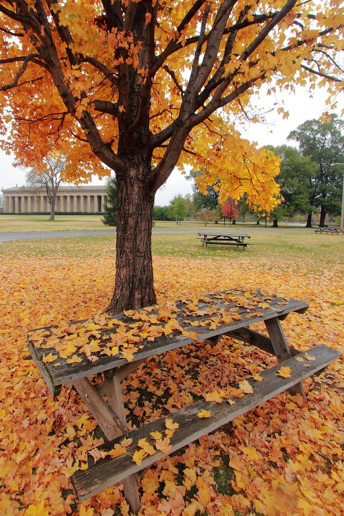 nashville fall foliage 1 centennial park more shots below… Flickr