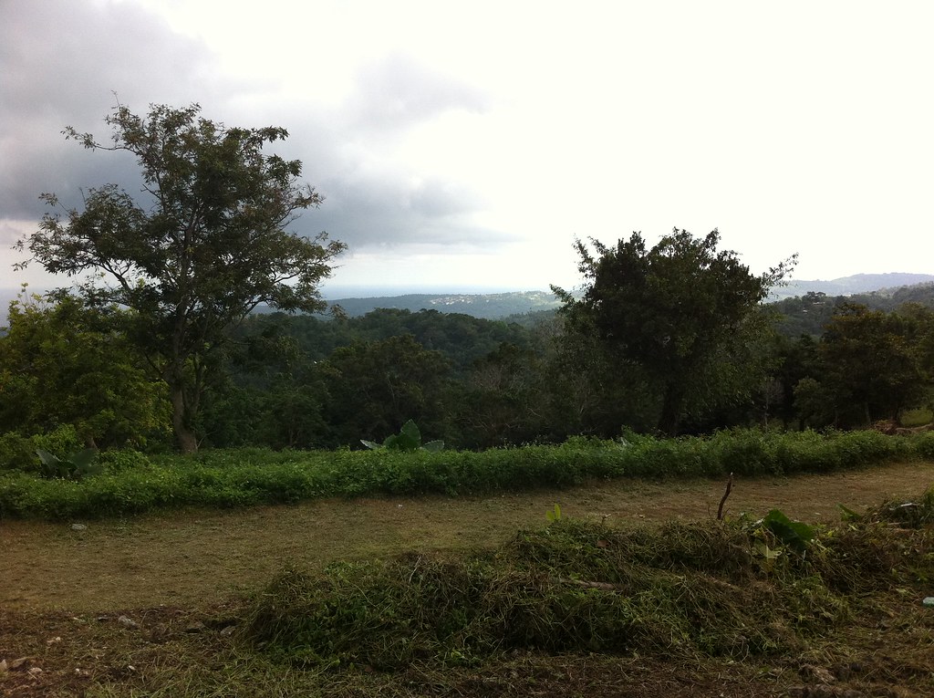 Breadnut Hill, Jamaica My Trip with SuperKids Inc! to Jama… Flickr
