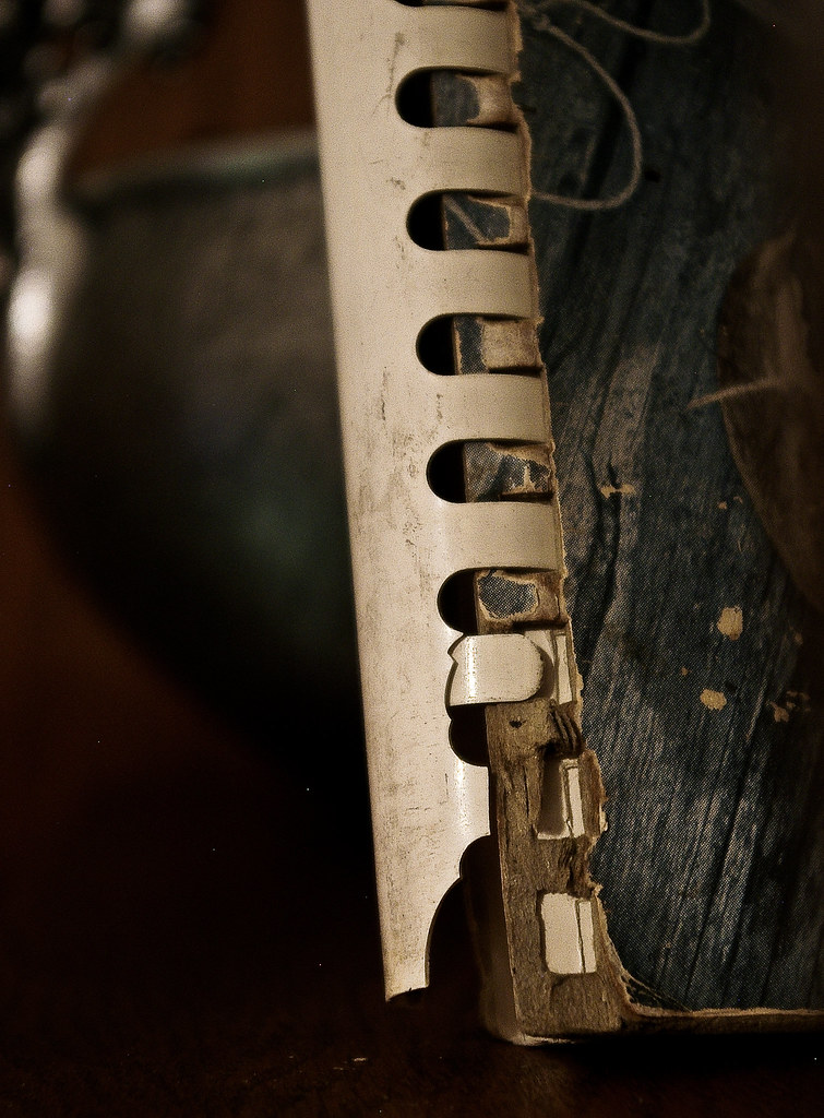 A Broken Binding Can't Hold in the Pages Louise_Strandoo! Flickr