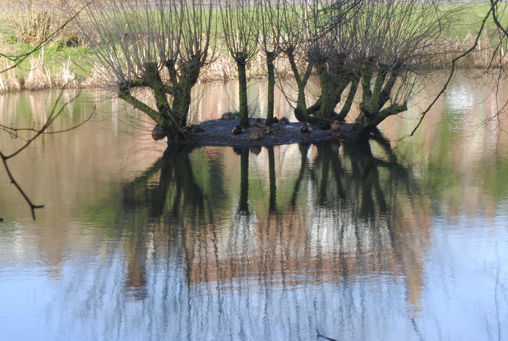 Blatchington Pond Seaford Charlie Verrall Flickr