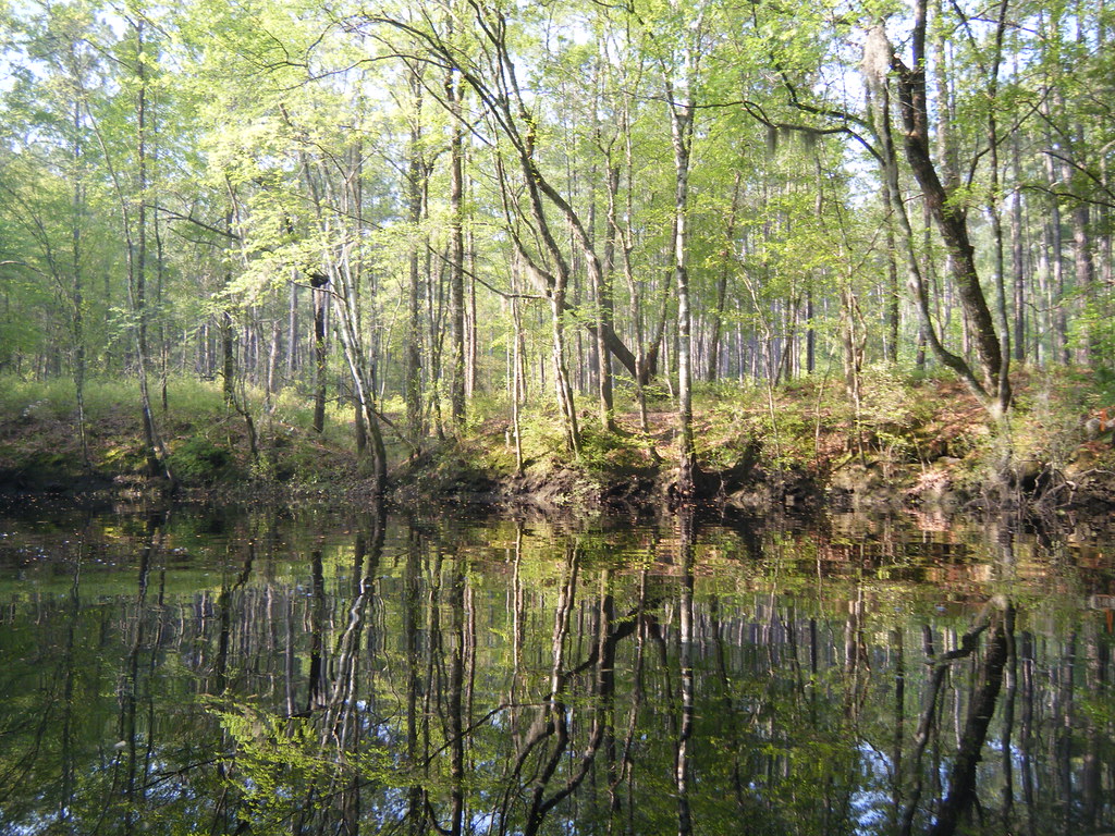 Elevation of Brogdon Road, Brogdon Rd, Guyton, GA, USA Topographic