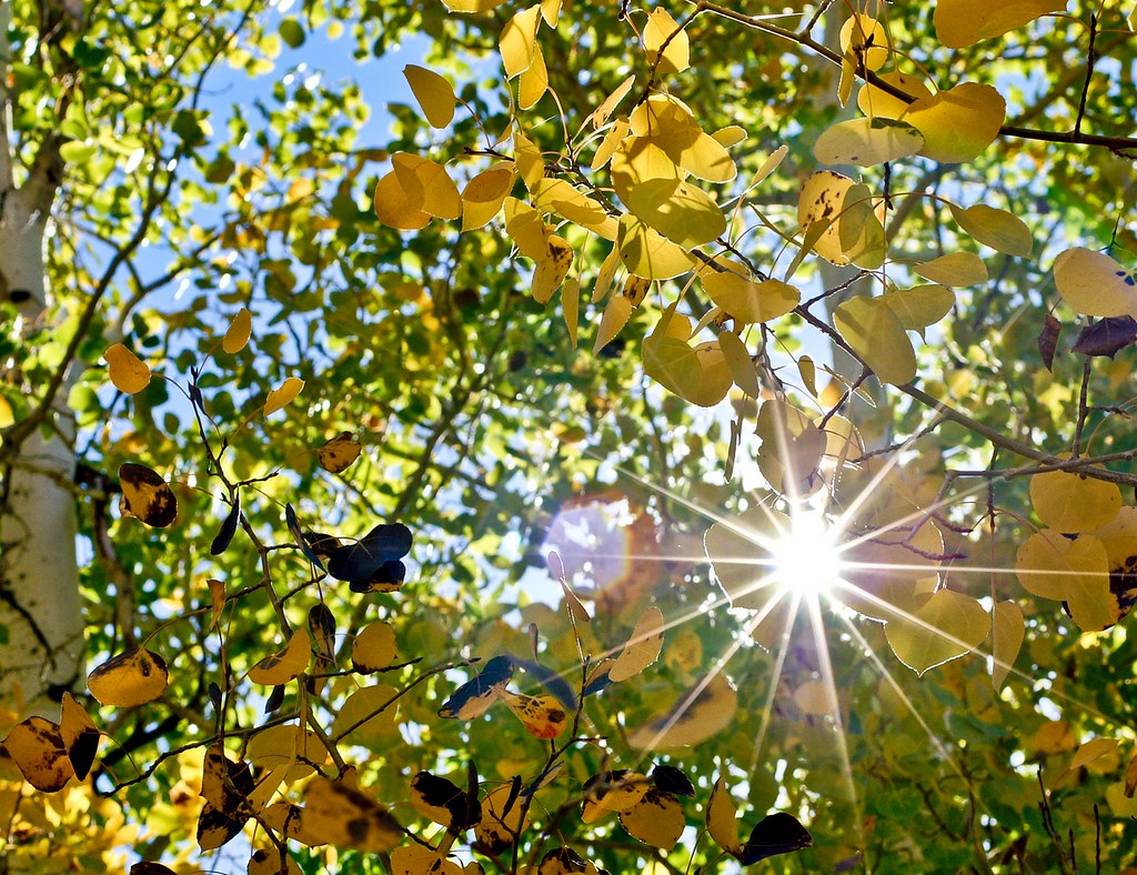 Blinded By The Light Meaning BLINDS