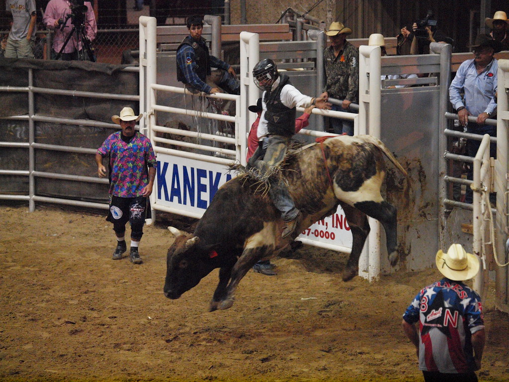 Pasadena Texas Day 1 PBR Bullriding Pasadena Livestock Sho… Flickr