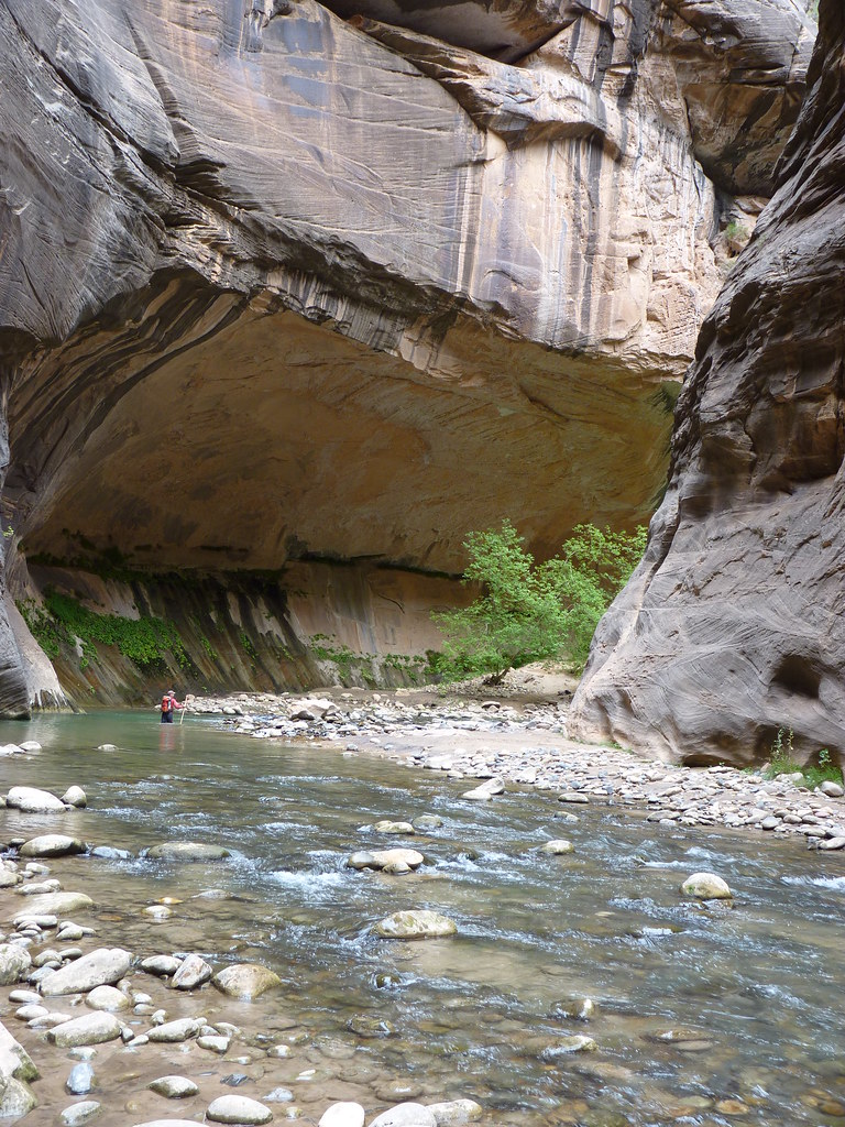 Alcove in The Narrows In The Narrows the North Fork of the… Flickr
