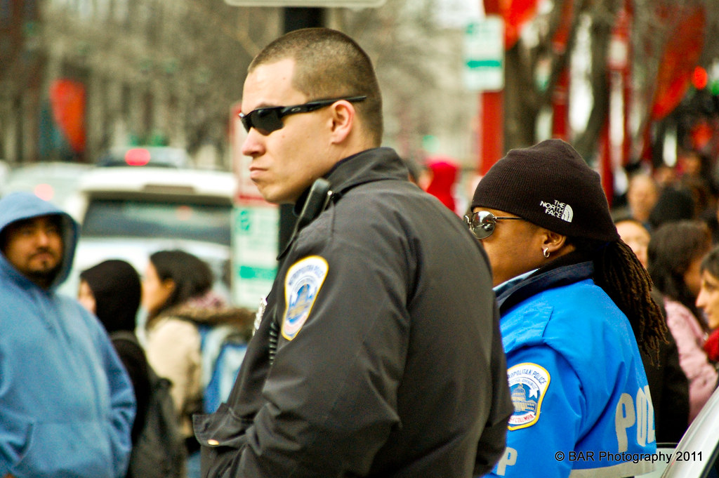 Chinese Lunar New Year 2011 Year of the Rabbit