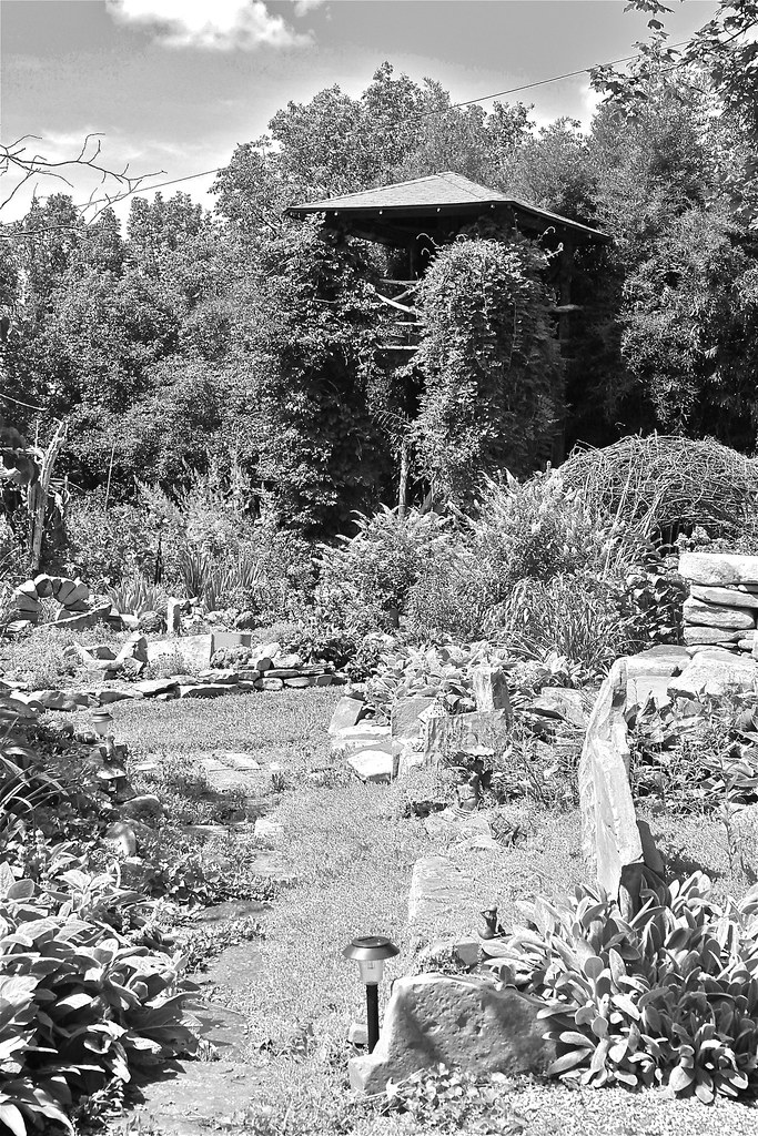 tree house Erin Dunn Flickr