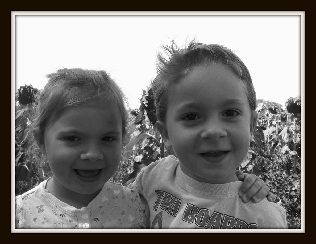 Yellow Springs sunflower field Mike and Shannon Bolen Flickr