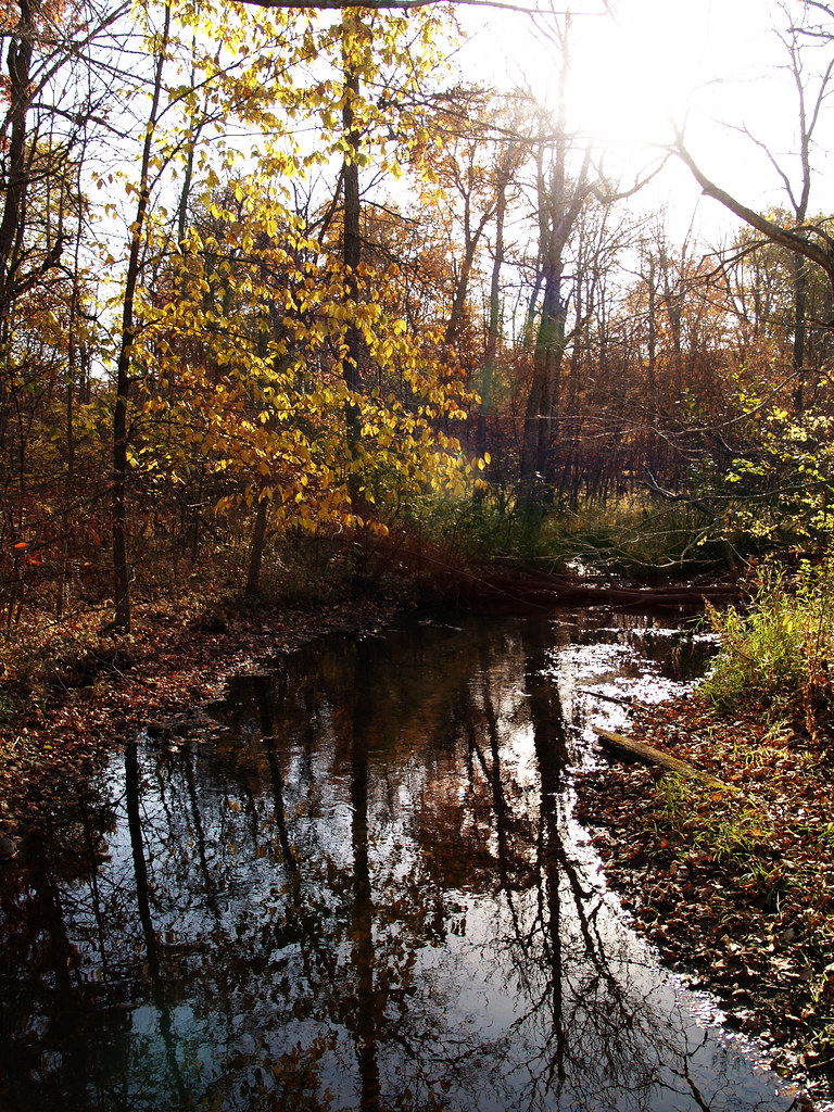 Mauthe Lake, WI October 2010 djvass Flickr