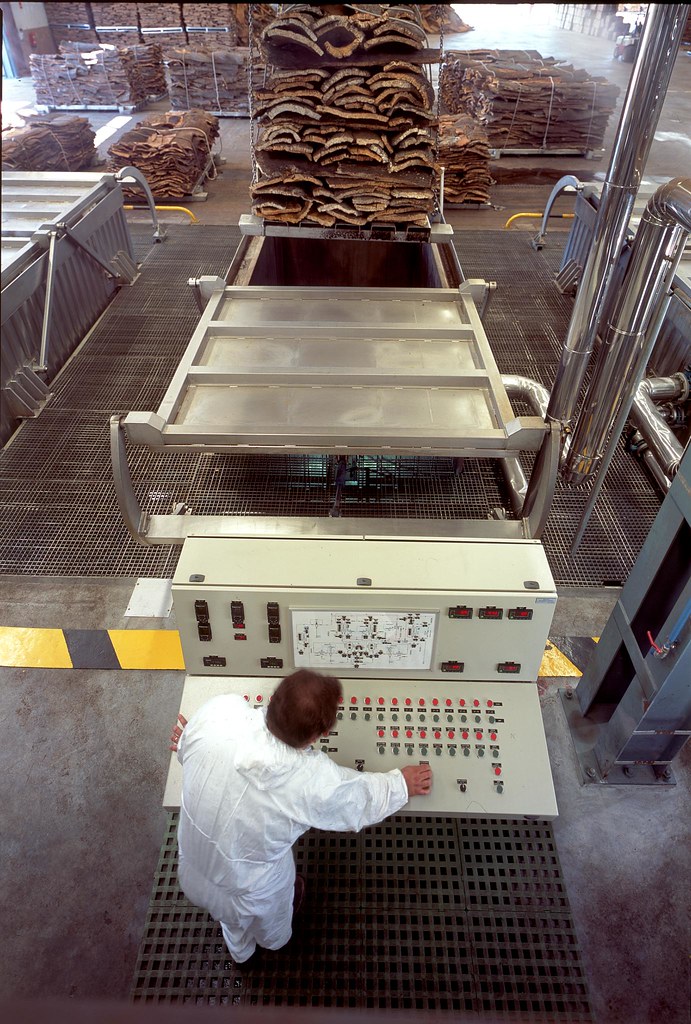 Cork Industry From the planting of the seed to the end of … Flickr