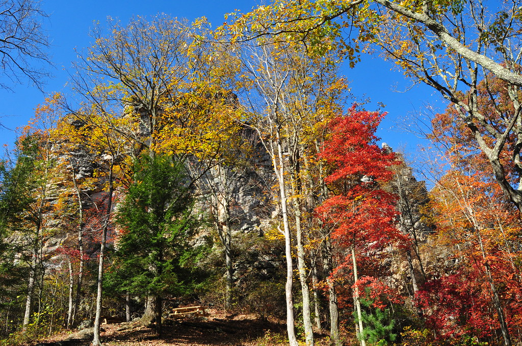 Pinnacle Rock State Park Bramwell, West Virginia a photo on Flickriver