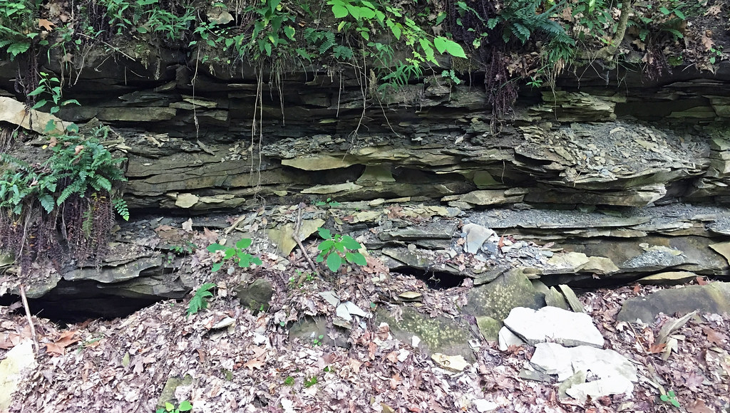 Sandstones (Lithopolis Member, Cuyahoga Formation, Lower Mississippian
