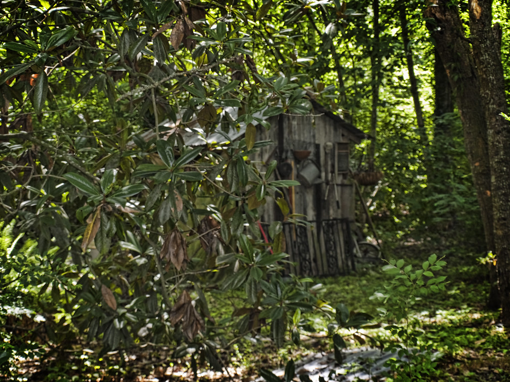 _6131395f2tadj Maringouin, La... BRivey Flickr