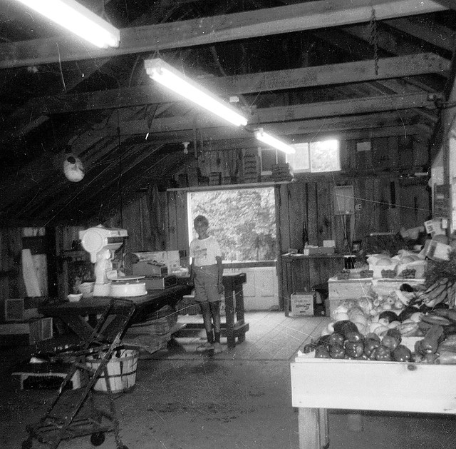 Checking out the home grown veggies at Robert Treat farms, corner of New Haven Avenue and Merwin