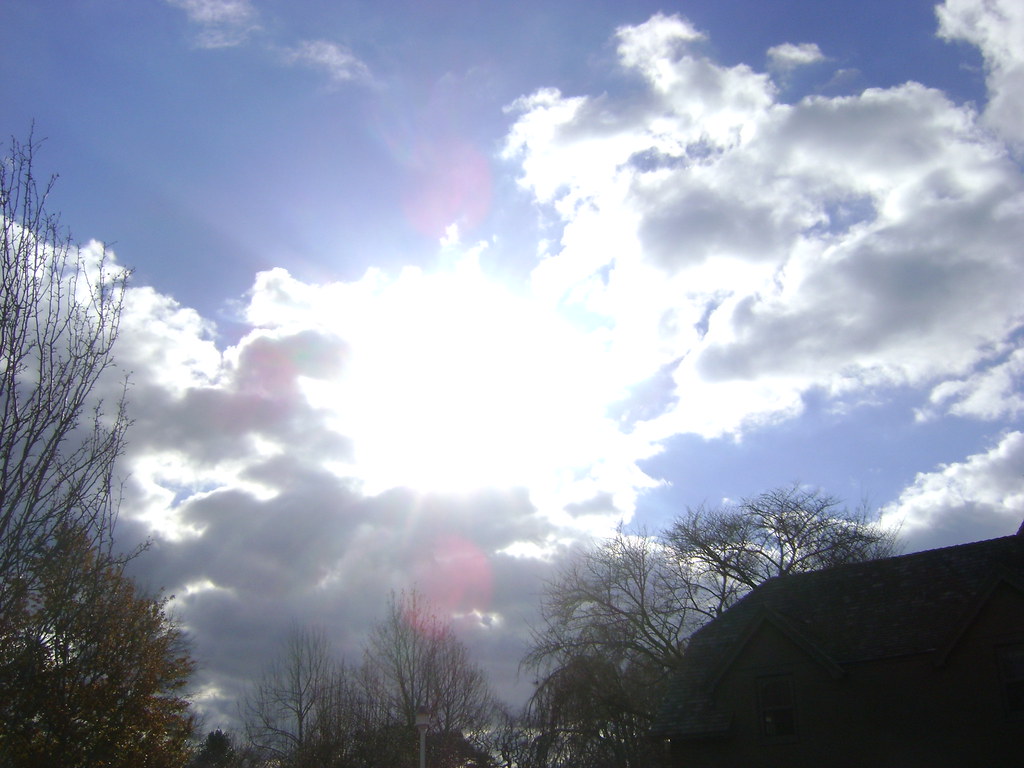 East Hampton Nov. 2010 & Misc 015 mariewlsh Flickr