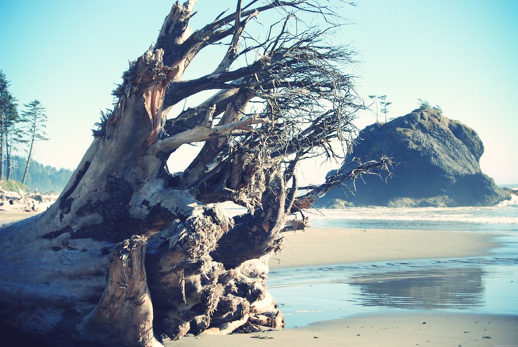 Second Beach, Forks, WA Olympic National Park Flickr
