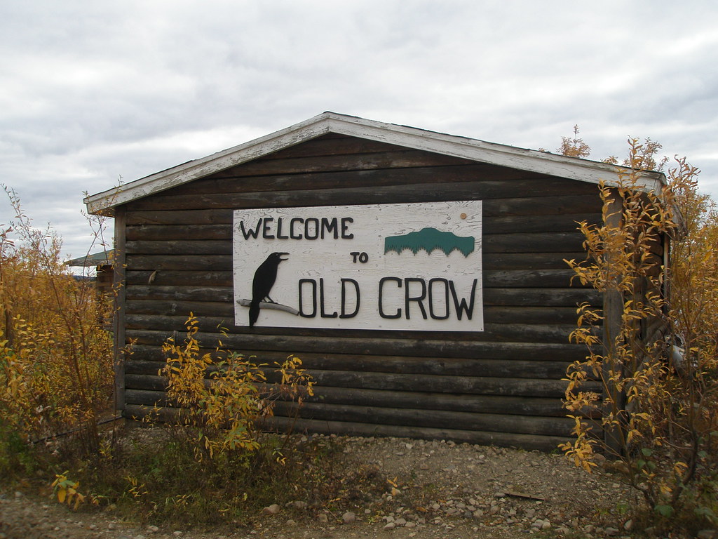 to Old Crow, Yukon, Canada Yellow leaves on the tr… Flickr