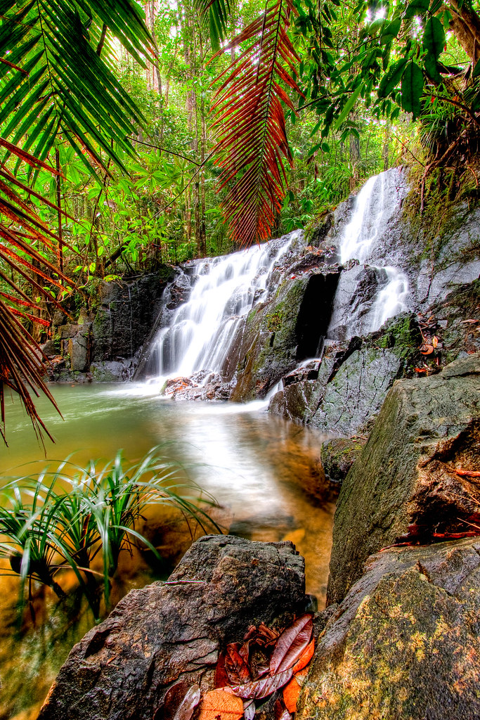 taman negeri endau rompin