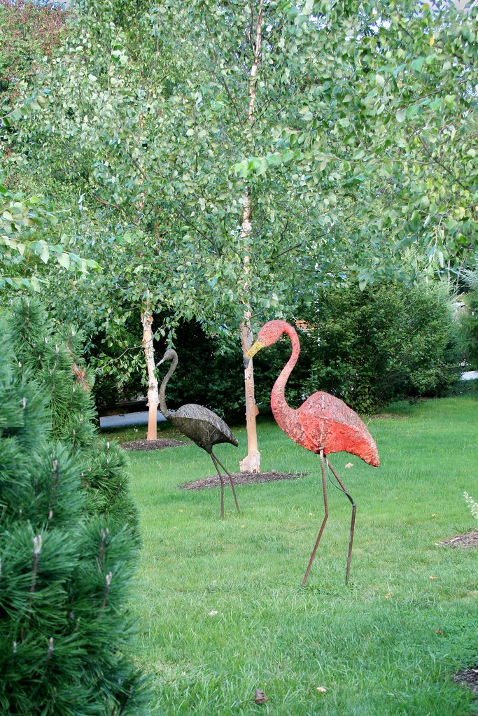 Flamingos Escape At Turtle Back Zoo! Sure the zoo is suppo… Flickr