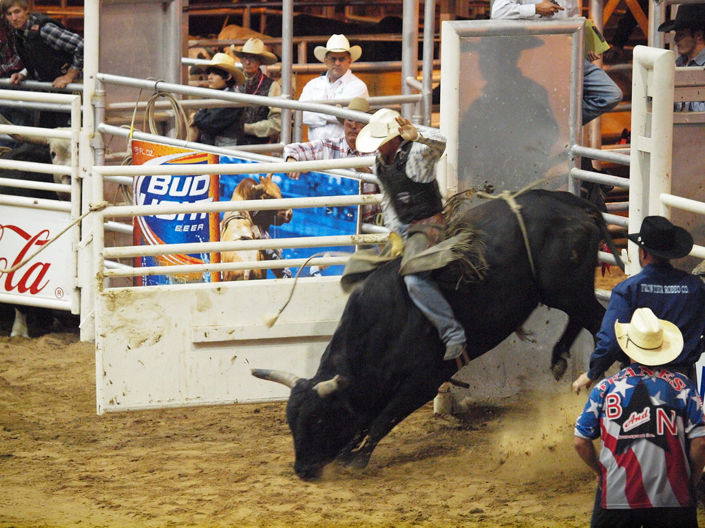 Pasadena Texas Day 2 PBR Bullriding Pasadena Livestock Show and Rodeo