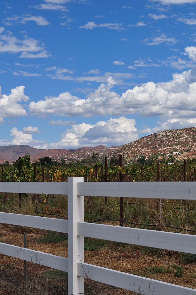 Magnolia Road Fall sky in Ramona off Magnolia Road Cathryn Curry