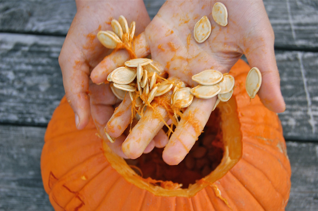 Pumpkin Guts and seeds MountainTop Flickr