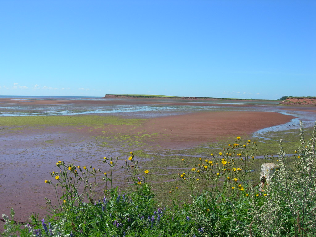 Low Tide Victoria, PEI Jimmy Emerson, DVM Flickr