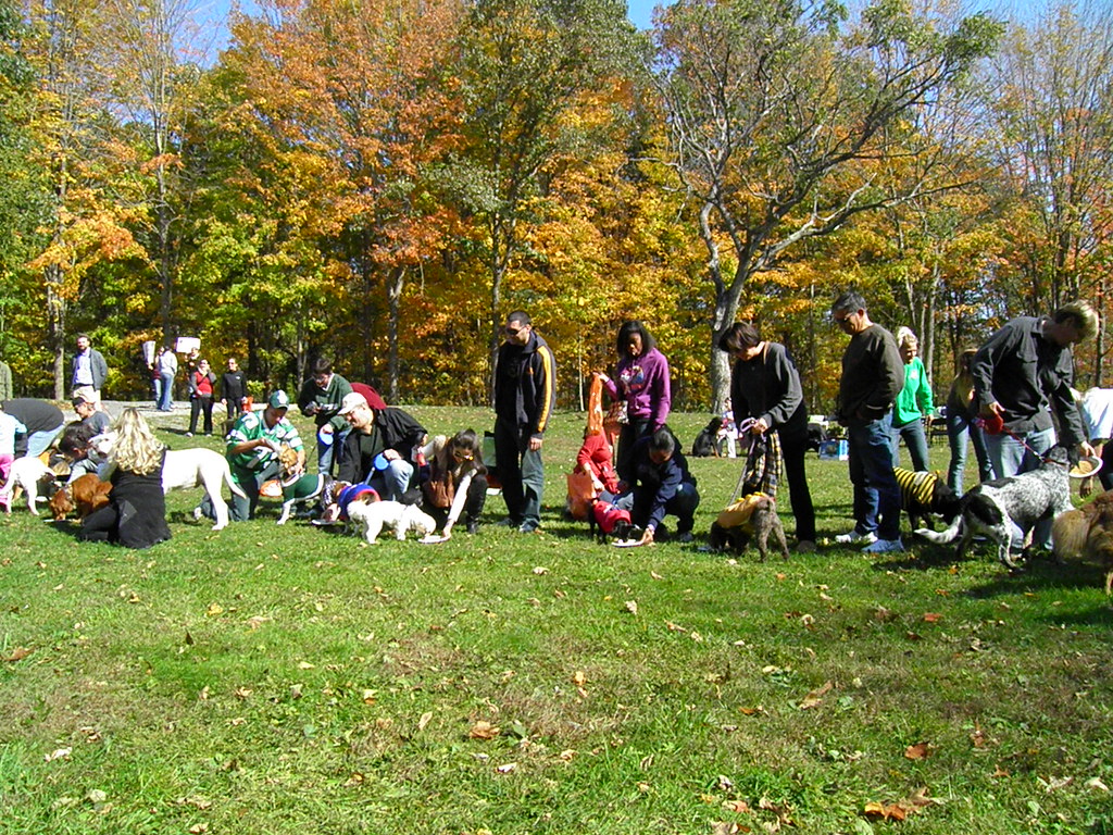 peanut butter licking contest Carol Vinzant Flickr