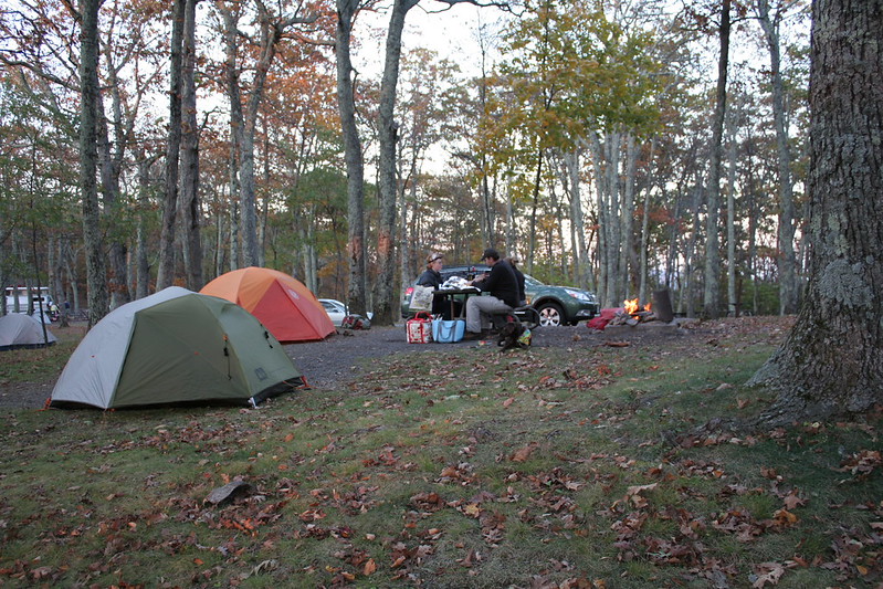 Shenandoah Camping A Comprehensive Guide to All 5 Shenandoah