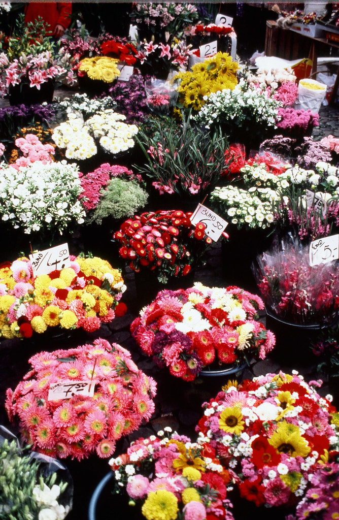 03130018Bundled Flowers Freiburg Market 1986 franceseattle Flickr