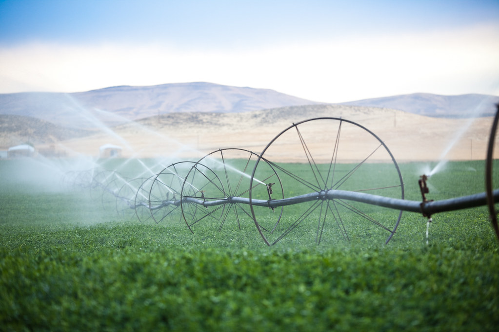Irrigation Irrigating a hay field in Moxee, WA Henry Alva Flickr