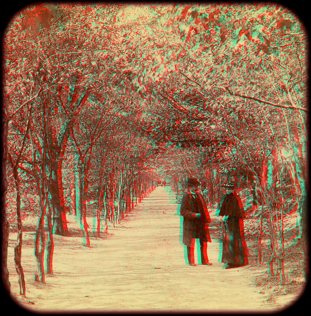 Lovers' Lane, Central Park, New York 1894 anaglyph 3D Flickr