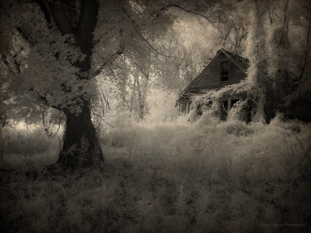 Into the Forest This newly found house in Van Buren County… Flickr