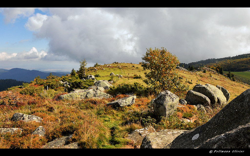 rochers du grothkopf (petitballon) Olivier Fellmann Flickr