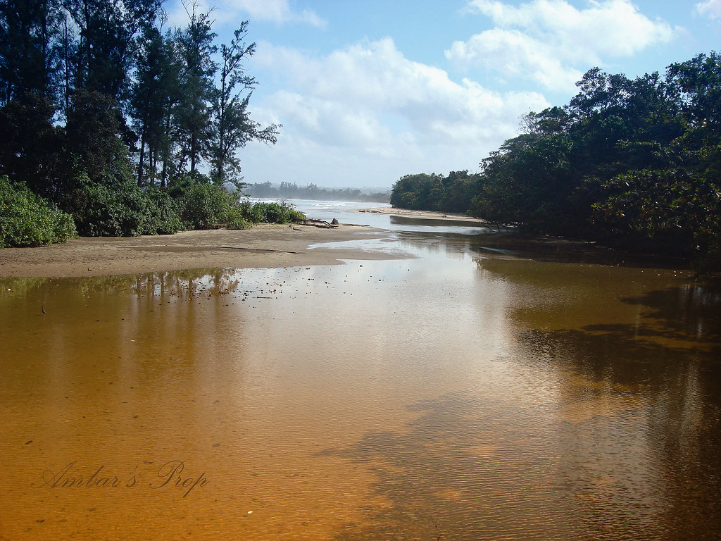 Muara Sungai Tambling ady Flickr