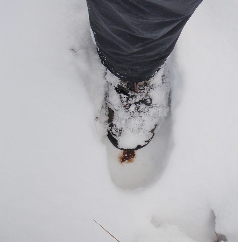 Absolutely freezing feet help Singletrack World Magazine January 29