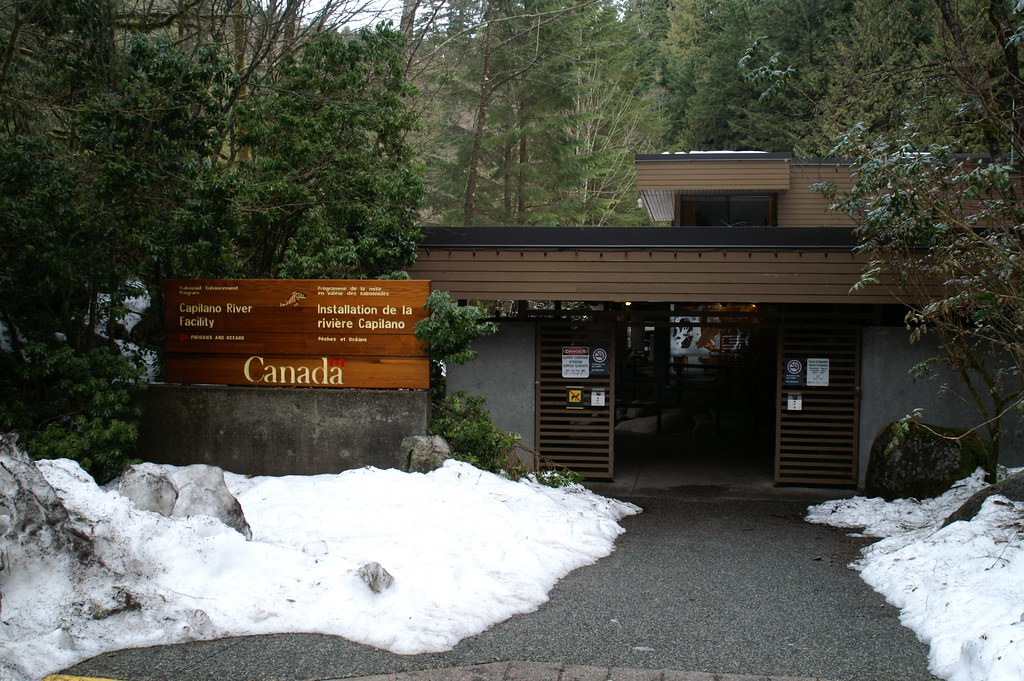 Capilano River Hatchery (Salmon Hatchery) Capilano River… Flickr