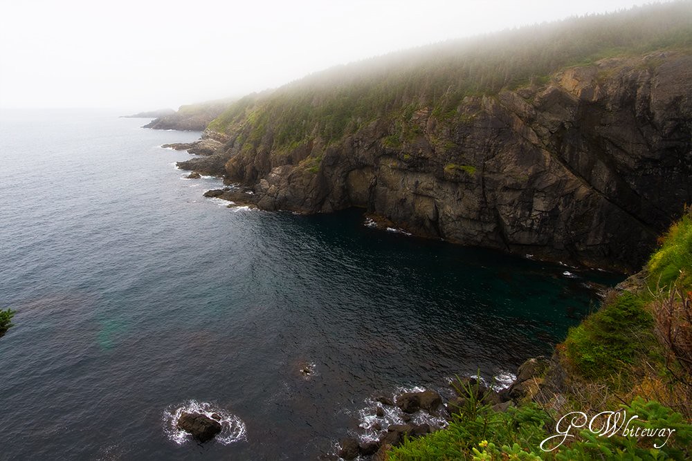 East Coast Trail Pouch Cove to Flatrock section of the tra… Flickr