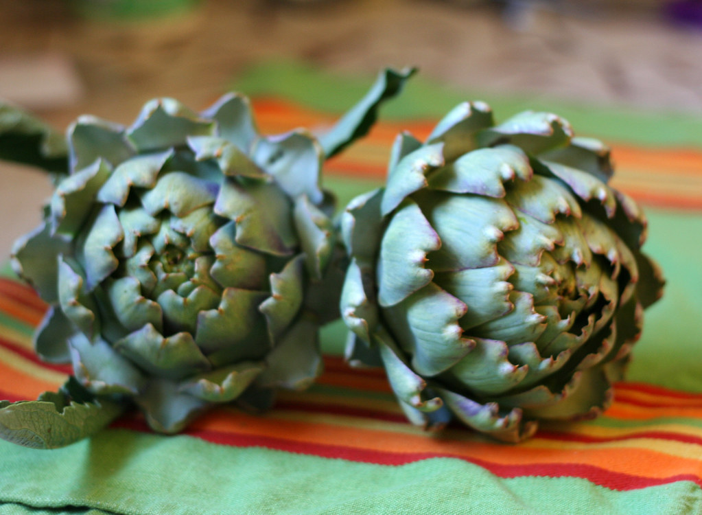first artichokes Haven't eaten them yet. These two are kin… Flickr