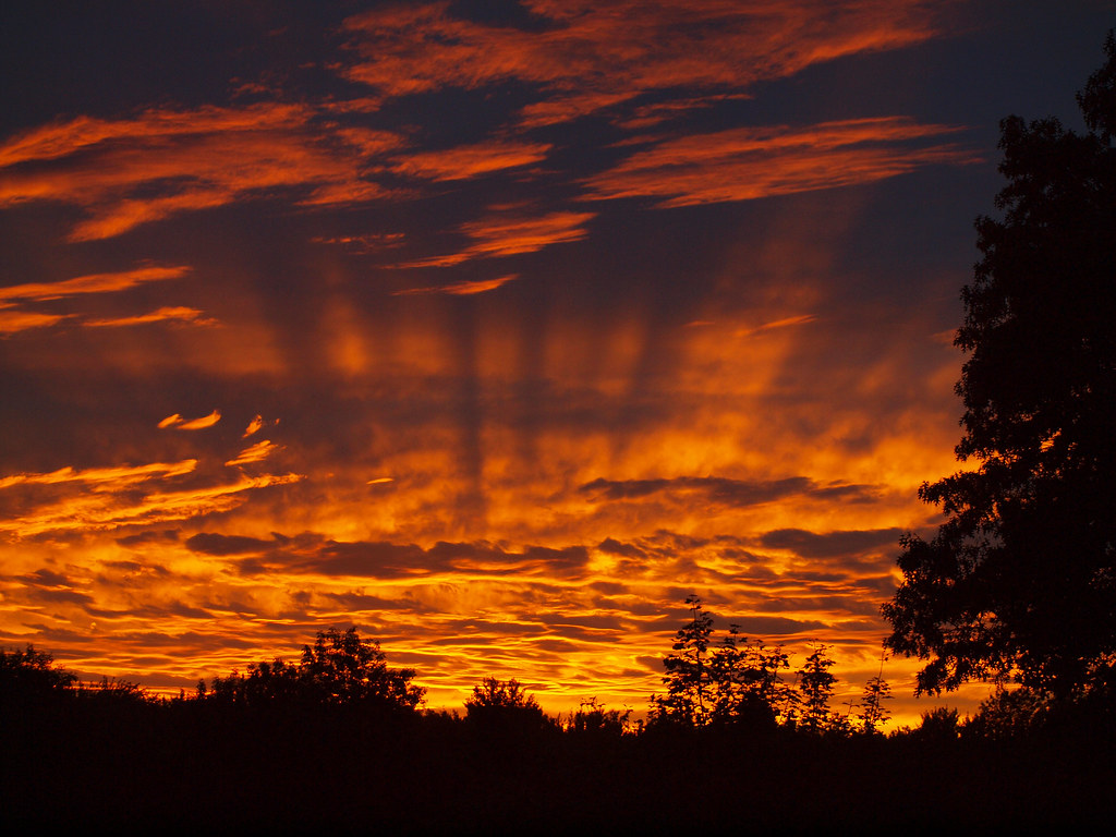 056/365 Fire in the Sky This shot was taken in Pascoag, RI… Flickr