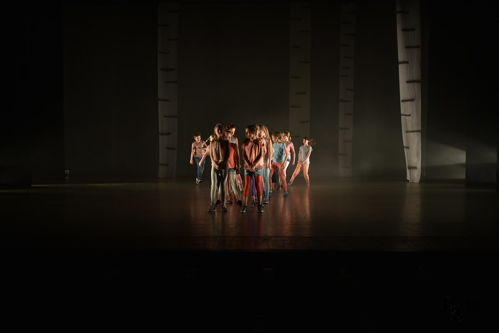 D7C_2180 Balettakademien Umeå Flickr