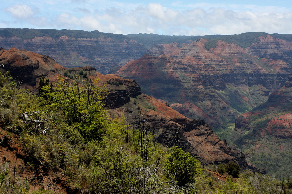 View of Waimea Canyon from Iliau Nature Loop Kauai Flickr