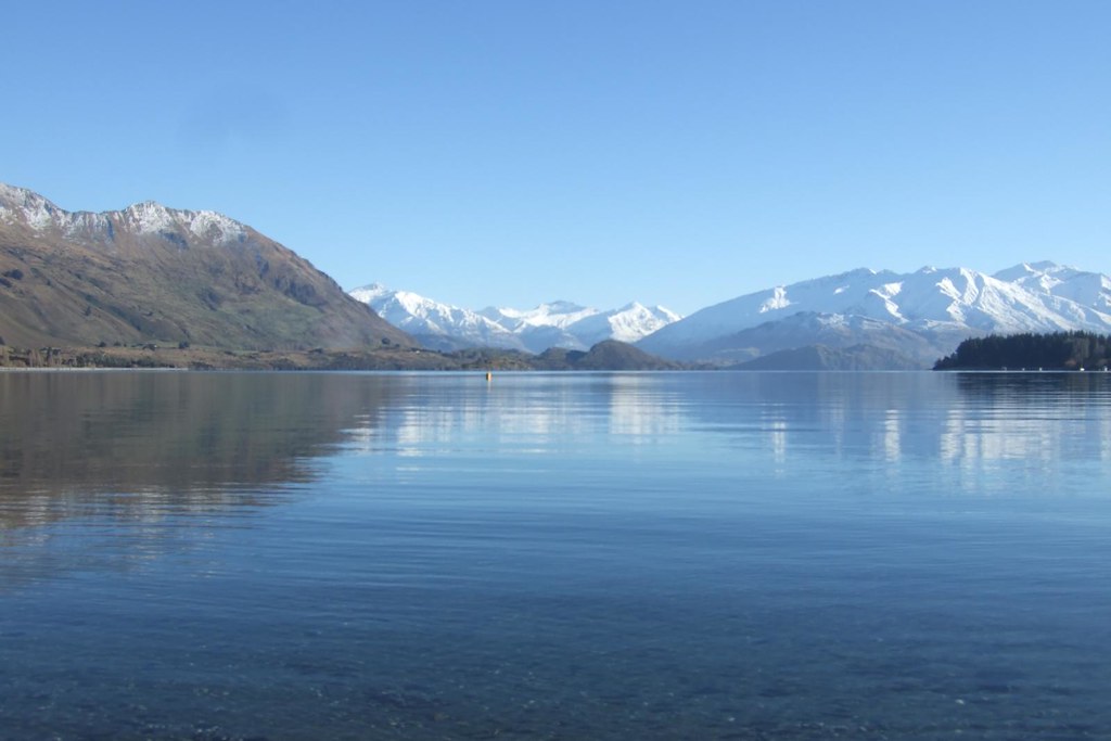 Queenstown to Wellington 015 Will Raymond Flickr