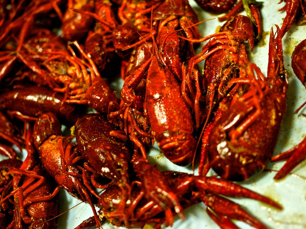 Crayfish Crayfish boil! Oh so tasty. Jack Amick Flickr