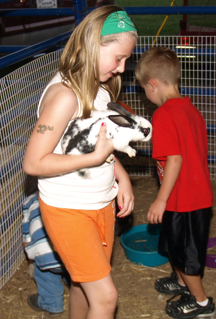 Vandalia Area Fair 2010 7/9/10 Trib photo by April M. Fr… Flickr