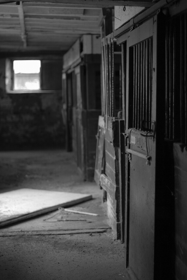 Horse Jail Entrance At the entrance to the abandoned horse… Hound